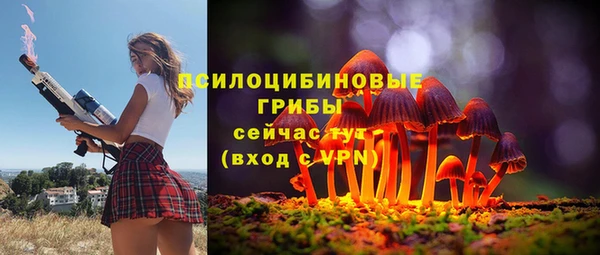 ПСИЛОЦИБИНОВЫЕ ГРИБЫ Абдулино